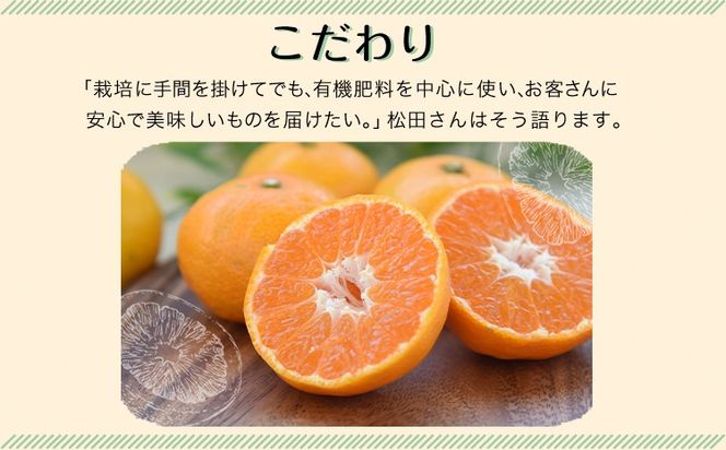 みかん ご家庭用『松田農園』ご家庭用みかん 約3kg(S-2Lサイズ) たっぷり 【日付指定不可】 予約受付中 フルーツ 秋 旬 約3kg 熊本県玉名郡玉東町『松田農園』 こだわり ミカン！ちょこっと 訳あり《11月上旬-1月下旬頃出荷》---sg_mtdmikan_ak111_24_7000_3kg---