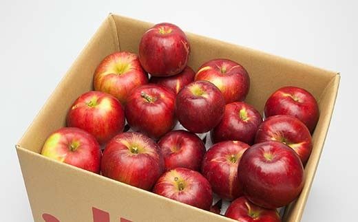 FYN6-148 ≪2026年先行予約≫ ご家庭・加工用 山形県産 りんご 紅玉 約4.5kg 2026年10月上旬から順次発送 中生種 早い 林檎 リンゴ こうぎょく 果物 くだもの フルーツ 秋果実 訳あり 加工用 家庭用 自宅用 農家 支援品 産地直送 期間限定 山形県 西川町 月山