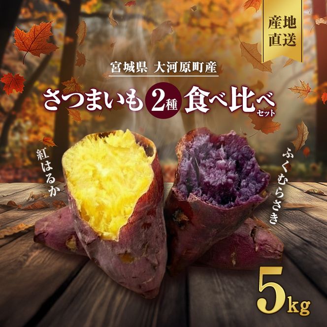 さつまいも 約5kg 2種詰合せ 紅はるか ふくむらさき サツマイモ 宮城県産 甘い 秋 冬 スイーツ 産地直送 宮城県 大河原町