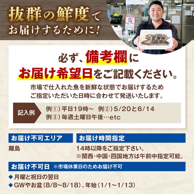 【先行予約】土佐の魚とお酒のおきゃくセット B（ウツボタタキコース）〈2026年11月下旬から2027年3月下旬発送〉藁焼きウツボタタキ（タレ・薬味付）約200g 2～3人前 わら焼き うつぼ 珍味 純米吟醸生原酒 CEL-24 高知県 土佐市【さかなの森澤マル祐】[BQAM017]