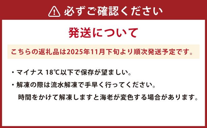 【2025年12月16日迄に入金確認で年内発送】天草産 活〆冷凍 車海老 500g（特大） 12～14尾 車えび 車エビ えび 海老 エビ 冷凍 国産 熊本県 上天草市【2025年11月下旬発送開始】