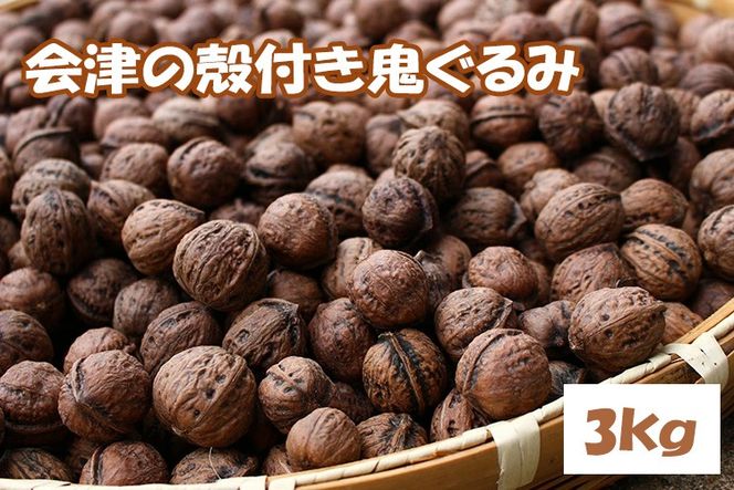 殻つき 会津の鬼ぐるみ3kg