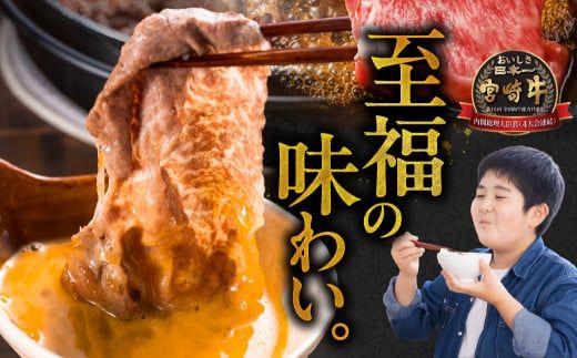 畜産農家応援! 宮崎牛スライス2種セット500g×4パック_36-N201