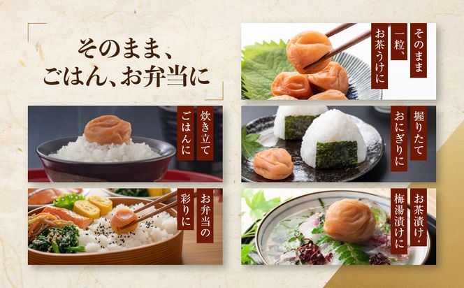 紀州南高梅 「花」 塩分約6％ 850g ［YM8］ 303446_DX90011