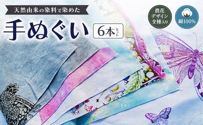 【農花全部入り】　天然由来の染料で染めた手ぬぐい6本セット　手拭い　おしゃれ　てぬぐ　 綿　信州　長野県　小諸市