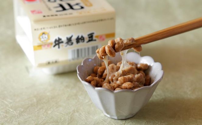 【牛若納豆】福袋セット（6種類・合計32パック） 261009_B-RW02