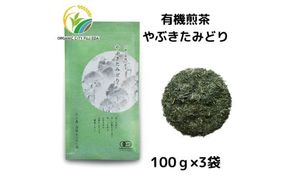 有機煎茶やぶきたみどり 100g×3袋[333138]