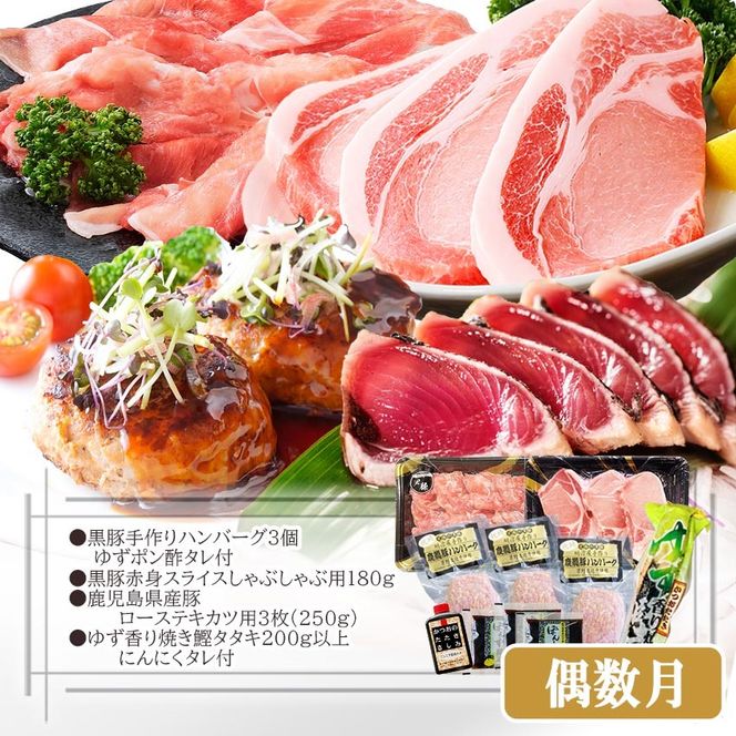 定期便(2回配送)鹿児島県産黒毛和牛・豚肉・一本釣りかつお DD-6004 【1166749】