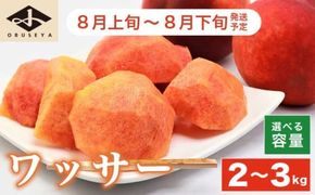 ワッサー 約2kg 約3kg 選べる内容量 ［小布施屋］ フルーツ 果物 長野県産 信州産 クール便 冷蔵便 数量限定 産地直送 令和8年産 【2026年8月上旬～8月下旬発送】