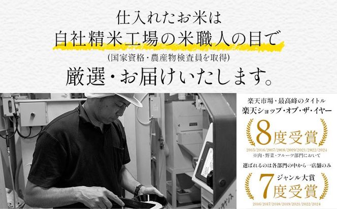 無洗米 訳あり 家庭用 熊本ふるさと 無洗 米 選べる内容量 5kg 10kg