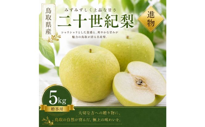 【2026年8月下旬より発送】有梨の実石田 二十世紀梨 (ギフト用)5kg 313726_CY015