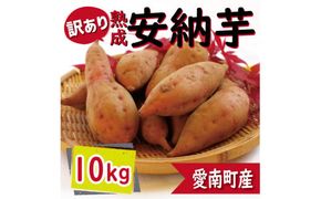 訳あり 熟成 安納芋 10kg サイズ混合 サツマイモ 焼き芋 干し芋 丸干し 冷凍焼き芋 冷やし焼き芋 やきいも 蜜芋 ほしいも スイートポテト フライドポテト いも天 サイズミックス  甘い ねっとり しっとり ほくほく 生芋 新芋 芋 いも 甘藷 あんのういも スイーツ おかず さつまいも 国産 人気 糖度 産地直送 農家直送 数量限定 14000円 愛媛県 愛南町 ミッチーのおみかん畑