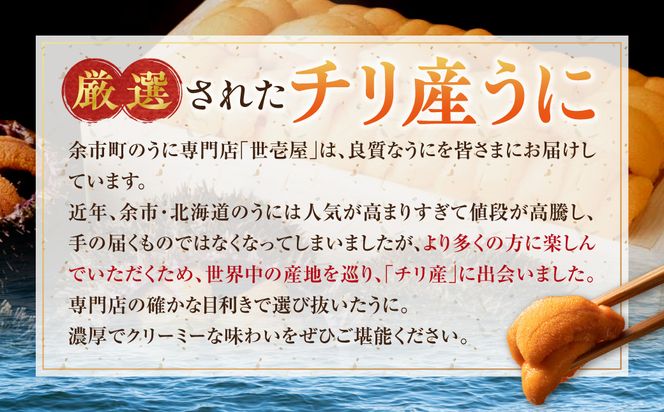 世壱屋 御雲丹100g（チリ産） 2pc_Y038-0104