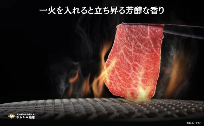 【A5仙台牛】焼肉スライス 500g×1  ｜ 最高等級 黒毛和牛 牛肉 仙台市 ギフト 贈答用 グルメ お取り寄せ 041009_JU006