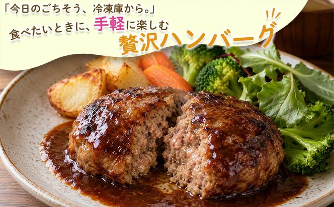 【常陸牛100%】ハンバーグ 8個 (ソース付) 〈茨城県共通返礼品〉 K2748