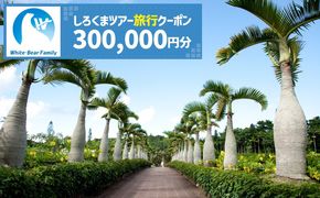 【沖縄市】しろくまツアーで利用可能なWEB旅行クーポン (30万円分) 沖縄旅行 観光 ツアー トラベルクーポン 電子クーポン 300000円 沖縄市 / 株式会社ホワイト・ベアーファミリー[BCAV008]