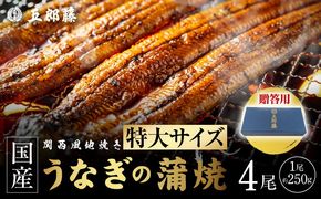 099H5089 【贈答用】国産有頭旨鰻 250g×4尾 特大サイズ【関西風地焼き 老舗 五郎藤 うなぎ 1kg 小分け unagi ひつまぶし 簡単調理】