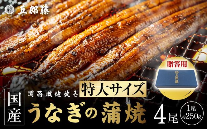 099H5089 【贈答用】国産有頭旨鰻 250g×4尾 特大サイズ【関西風地焼き 老舗 五郎藤 うなぎ 1kg 小分け unagi ひつまぶし 簡単調理】