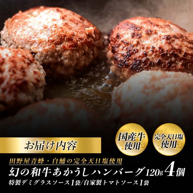 幻のあかうし和牛ハンバーグ 4個入り 1個120g 特製デミソース トマトソース付き 田野屋青蜂 白鯆 完全天日塩練り込み 肉 お肉 国産牛 おかず おいしい お取り寄せ 冷凍 配送 高知県 田野町