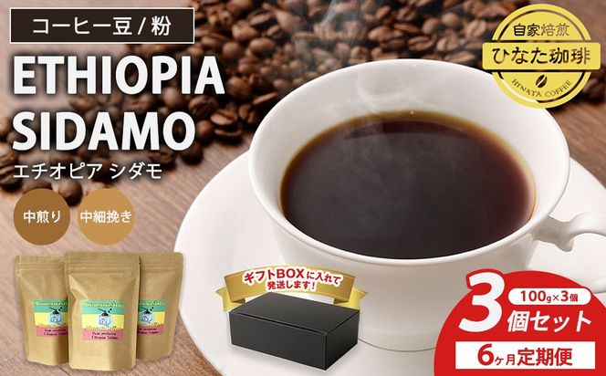 【6カ月定期便】コーヒー 豆 粉（エチオピア シダモ 中煎り 中細挽き）100g × 3個セット | ミディアムロースト ギフトBOX付き コーヒー 珈琲 自家焙煎 ひなた珈琲 幸田町 送料無料