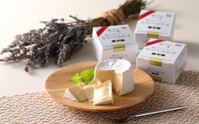 蒜山ジャージーのバター・チーズ・ヨーグルトのセット 詰め合わせ 食べ比べ ひるぜん 蒜山酪農 真庭 岡山 ジャージー ギフト 冷蔵【hiru025-01】