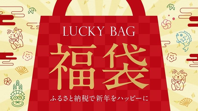 【福袋】富士吉田「極上の眠り」5点セット 羽毛布団 寝具 2枚合わせ セミダブル 掛ふとんカバー ピロケース 山梨 富士吉田