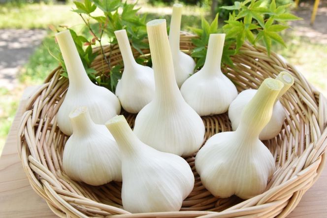 焼き肉のタレ ガーリックオイル にんにく農家の人気商品2本 セット 焼肉のたれ 200ml 1本 ガーリックオイル 200ml 1本 [山之一 熊本県 五木村 51120277] 焼肉 焼き肉 にんにく オイル にんにくオイル タレ 詰め合わせ 調味料