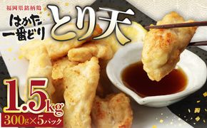 〈総重量1.5kg!〉【3D凍結】はかた一番どり　とり天300g×5パック【あらい】_HA1327