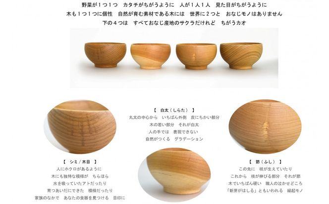 さくらのマグボウル【スープボウル 食器 木 雑貨 汁椀  プレゼント おしゃれ カフェオレボウル 日本製 神奈川県小田原市 】 142069_AR040