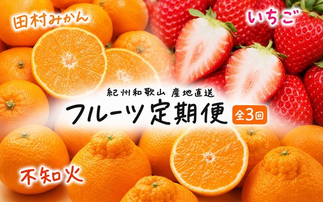 【全3回定期便】フルーツ大国和歌山よりお届け！旬のフルーツ定期便A【田村みかん・まりひめ・紀州デコ】 / フルーツ 果物 みかん いちご 旬 定期便 【tkb350】