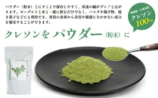 【注目のスーパーフード】天然クレソンパウダー 100g（国産 天然 粉末 パウダー 美容 野菜）