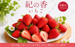 【来シーズン先行予約】紀州和歌山ブランドいちご「紀の香」約250g×4P※2027年1月中旬～2027年3月中旬頃順次発送（お届け日指定不可）【uot868】