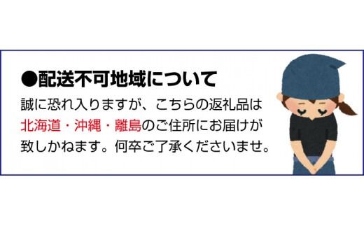 【予約受付】2Sサイズ 20玉～25玉 石本農園のハウスみかん 約2kg【2025年7月上旬から下旬に順次発送】 / みかん ミカン 蜜柑 ハウスみかん【mis009A】
