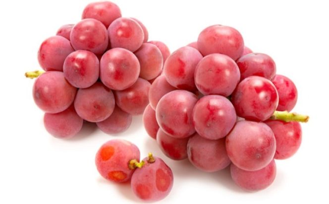 ぶどう 【2026年 早期受付】 ぶどうセット 桃太郎ぶどう 1房 ・ クイーンニーナ 1房 合計約1kg ブドウ 葡萄 岡山県産 国産 フルーツ 果物 ギフト [№5735-2082]