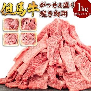 【ふるさと納税】但馬牛 がっせぇ盛り（焼肉用・1kg）250g×4パック 小分け 肉 牛肉 お肉 赤身 バラ バラ肉 ばら 国産 黒毛和牛 和牛 焼肉 焼き肉 BBQ お取り寄せ 冷凍 兵庫県 新温泉町 送料無料