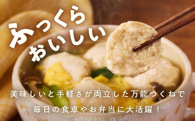 099Z581 【定期便】国産鶏使用 つくね 2kg（500g×4P）全6回【泉州たまねぎ入り 冷凍 惣菜 おかず 弁当 おつまみ 鍋具材】
