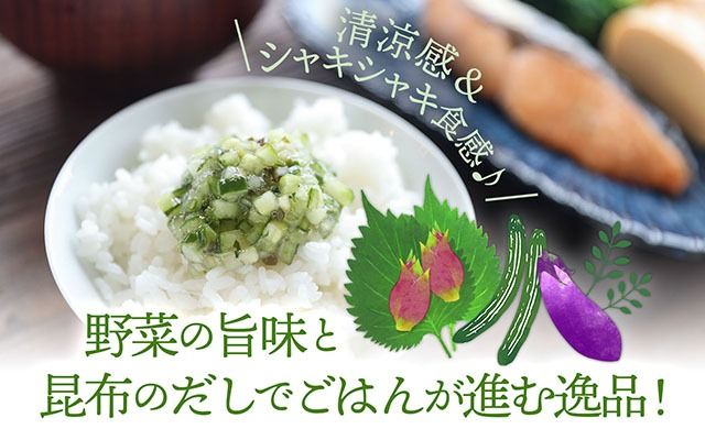 マルハチ 山形のだし 110g×12パック 漬物 夏野菜 シャキシャキ食感 お手軽 簡単 ご飯のお供 おかず 山形名物 郷土料理 家庭料理 ご当地