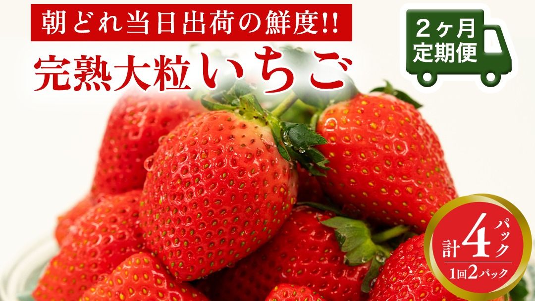 [ 2ヶ月 定期便 ]完熟 いちご 2パック ( 大粒 ) 先行予約 大粒 イチゴ 苺 フルーツ 果物 かおり野 とちおとめ やよいひめ [AF099ci]