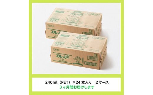 【3ヶ月定期便】サンA フルッぴーキウイヨーグルト(PET)240ml×48本 【 川南町 フルーツ ヨーグルト キウイ ドリンク 定期便 】[D03004t3]