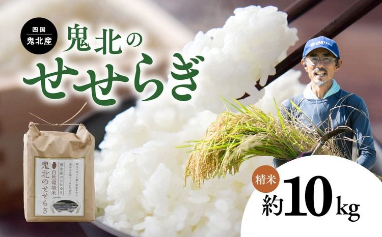 [先行予約][R7年産][環境保全米]鬼北町のせせらぎ 10kg(コシヒカリ) | お米 お米不足 お米品薄 おいしい お米 事業者支援 送料無料 白米 精米 国産 限定 ごはん ご飯 白飯 ゴハン 愛媛県産 鬼北町 ※2025年9月上旬より順次発送予定 ※離島への配送不可