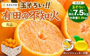 不知火 (しらぬい) 秀品 玉ぞろい 箱込 7.5kg (内容量約6.8kg)  和歌山県産 産地直送［みかんの会］ AX136