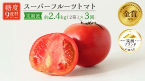 【 先行予約 】【 3ヶ月 定期便 】 スーパーフルーツトマト 中箱 約1.2kg × 2箱 【大玉 12～15玉/1箱】 糖度9度 以上 トマト とまと フルーツトマト フルーツ 野菜 やさい 高糖度 [AF044ci]