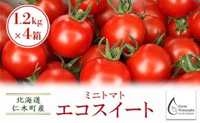 [先行受付/2026年産][栽培期間中 農薬・化学肥料不使用] 北海道 仁木町産 ミニトマト エコスイート 1.2kg×4箱 サイズ混載 トマト野菜 やさい  [Farm Watanabe]
