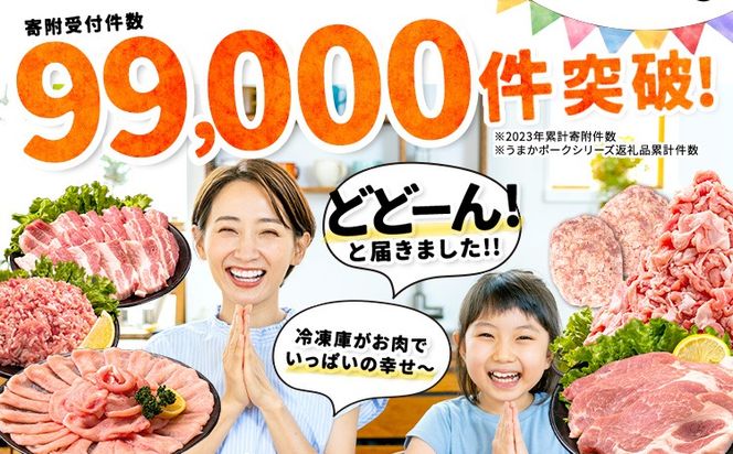 豚肉 うまか ポーク バラエティ セット 2.4kg 4.6kg 豚肉 しゃぶしゃぶ 切り落とし 豚ロース バラ 豚バラ スライス 以上 定期便 真空 不揃い 数量限定 簡易包装 冷凍配送 小分け 《12月出荷》 豚肉---oz_fbrets_ac12_25_17000_4600g---