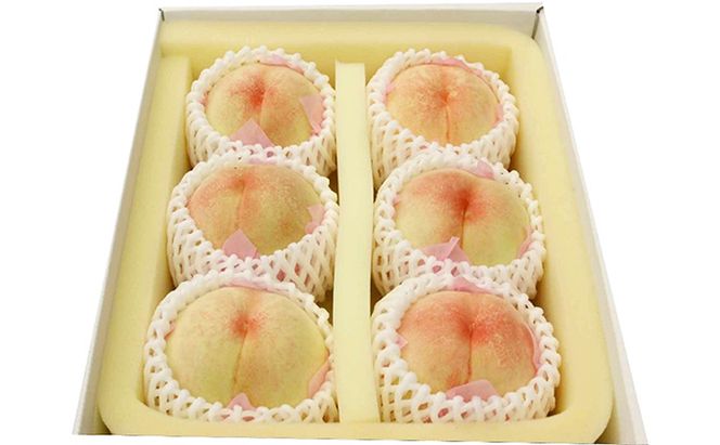 桃 2026年 先行予約 特選 岡山の白桃 4～6玉 1.5k箱（正味内容量1.3kg以上）晩生種 もも モモ 岡山県産 国産 フルーツ 果物 ギフト