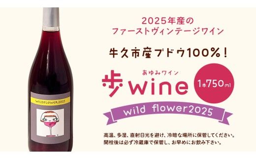 歩wine wild flower2025 ( 750ml ) 日本ワイン 牛久市 ブドウ 自然派ワイン 無濾過 ファーストヴィンテージ マスカット・ベーリーA ビジュノワール メルロー バルベーラ ワイン 酒 赤ワイン わいん