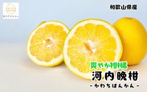 【和製グレープフルーツ】有田育ちの河内晩柑(ご家庭用)　3kg+200g(補償分)【2027年4月上旬～5月下旬頃に順次発送予定】【ard028C】