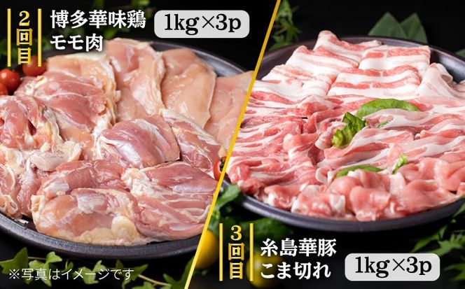 yszyS7ցz{[_I   Y  / ؓ / { st y~[gfH[z [ACA086]   ؓ n{ ē BBQ Ă Ԃ  a