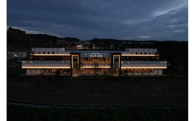 【ふるさと納税】愛子天空の湯 そよぎの杜 入館・岩盤浴無料券11枚　温泉 露天風呂 サウナ 日帰り 天然温泉 観光 旅行 旅 回数券 入浴券 仙台市　 041009_HR002