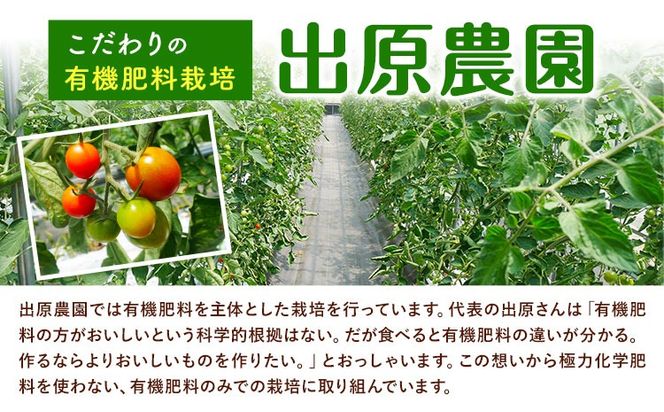 ミニトマト 約1kg 出原農園 《1月上旬-5月末頃出荷》 岡山県 矢掛町 野菜 ミニトマト もぎたて 新鮮---osy_iktmt_af15_24_8500_1---